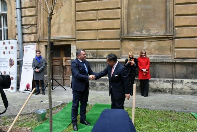 Подстелили коврик для посадки деревьев: В Сети возмущаются львовским губернатором