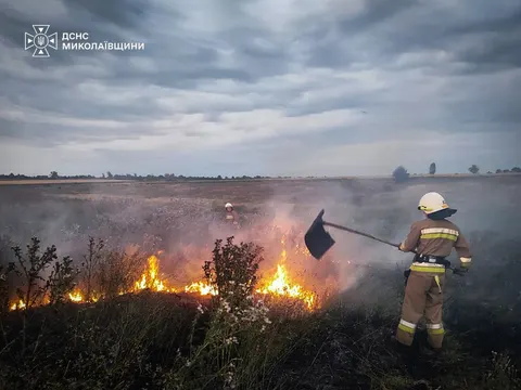 На Миколаївщині з початку року вигоріло понад 1,8 тисячі гектарів