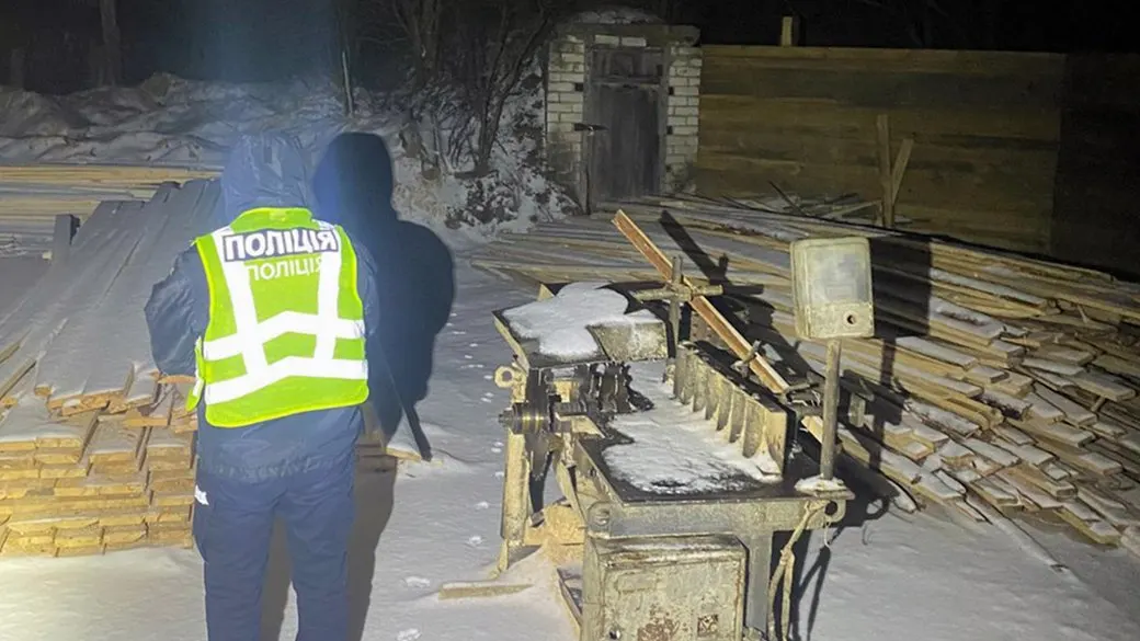 Вирубка у заказнику на Житомирщині: підозрюють п’ятьох, збитки — 2,8 млн грн