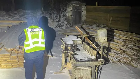 Вирубка у заказнику на Житомирщині: підозрюють п’ятьох, збитки — 2,8 млн грн