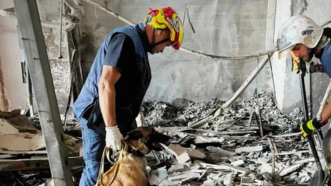 Чотирилапі рятувальники: 8 собак ДСНС шукають людей під завалами ТРЦ у Кривому Р