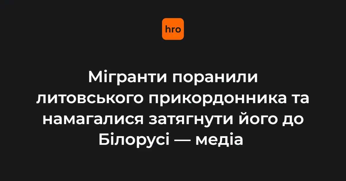 Мігранти на кордоні Литви поранили прикордонника та тягли його в Білорусь