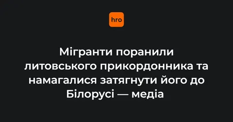 Мігранти на кордоні Литви поранили прикордонника та тягли його в Білорусь