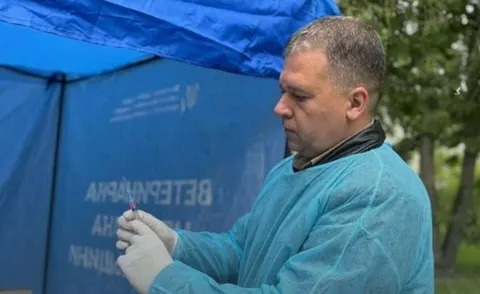 Лисиця на «Дружбі» в Тернополі: домашніх тварин запрошують на безкоштовне щеплен