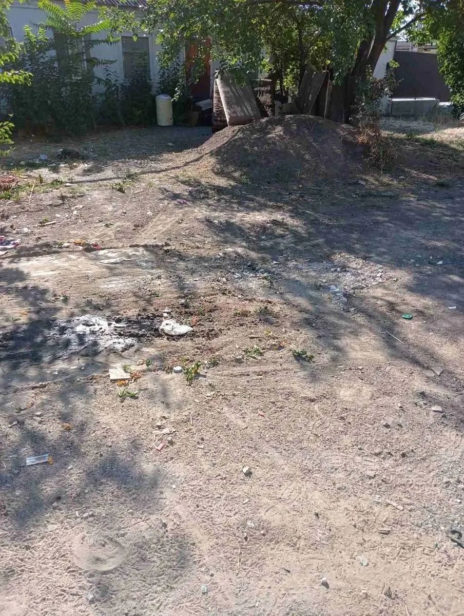 «Сміття розноситься по всій вулиці»: мешканка Миколаєва просить огородити звалище