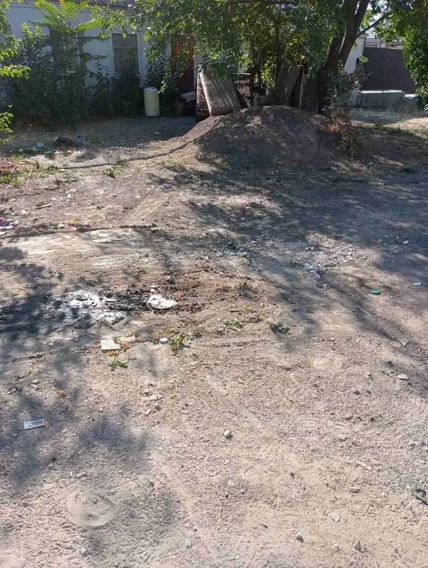 «Сміття розноситься по всій вулиці»: мешканка Миколаєва просить огородити звалищ