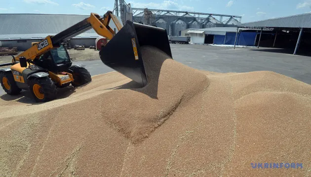 1,7 млн тонн агропродукції: Україна нарощує експорт альтернативними шляхами