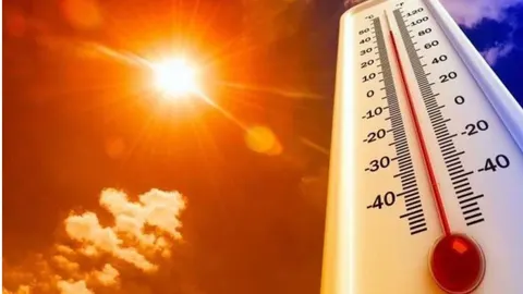 Спека б'є рекорди: де в Україні 1 серпня було найжаркіше