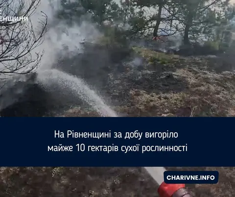 На Рівненщині за добу згоріло майже 10 гектарів сухої трави