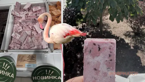 Фламінго подоїли: Roshen випустив рожеве «Пташине молоко» з лісовими ягодами