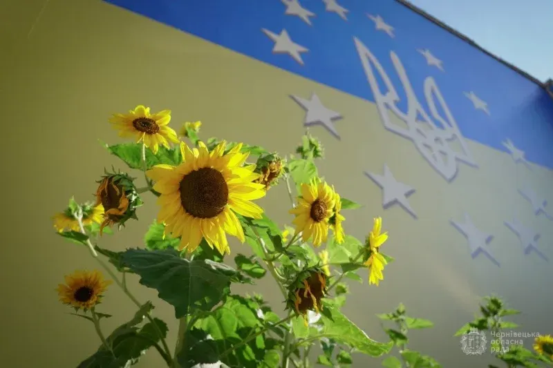 День пам'яті захисників: як Україна вшановує героїв