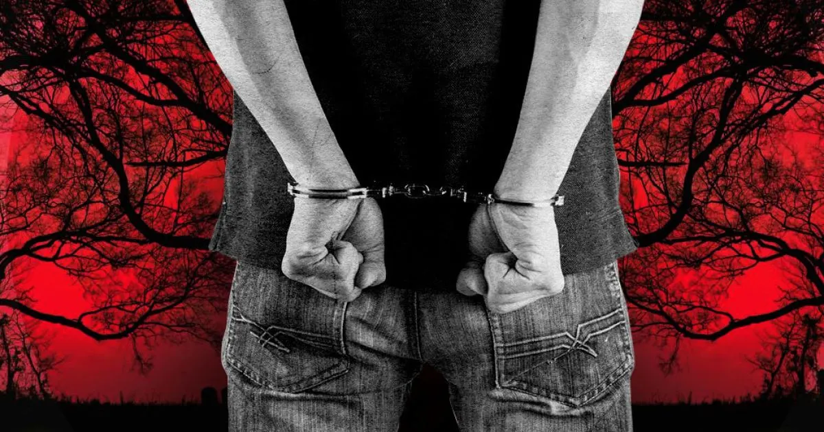 Секс-ритуали з убивством хом'яків: у Японії заарештували вчителя