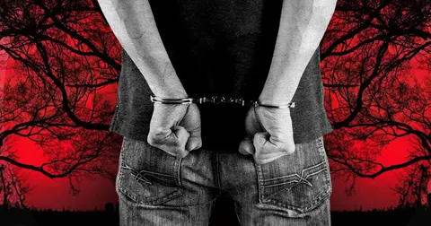 Секс-ритуали з убивством хом'яків: у Японії заарештували вчителя