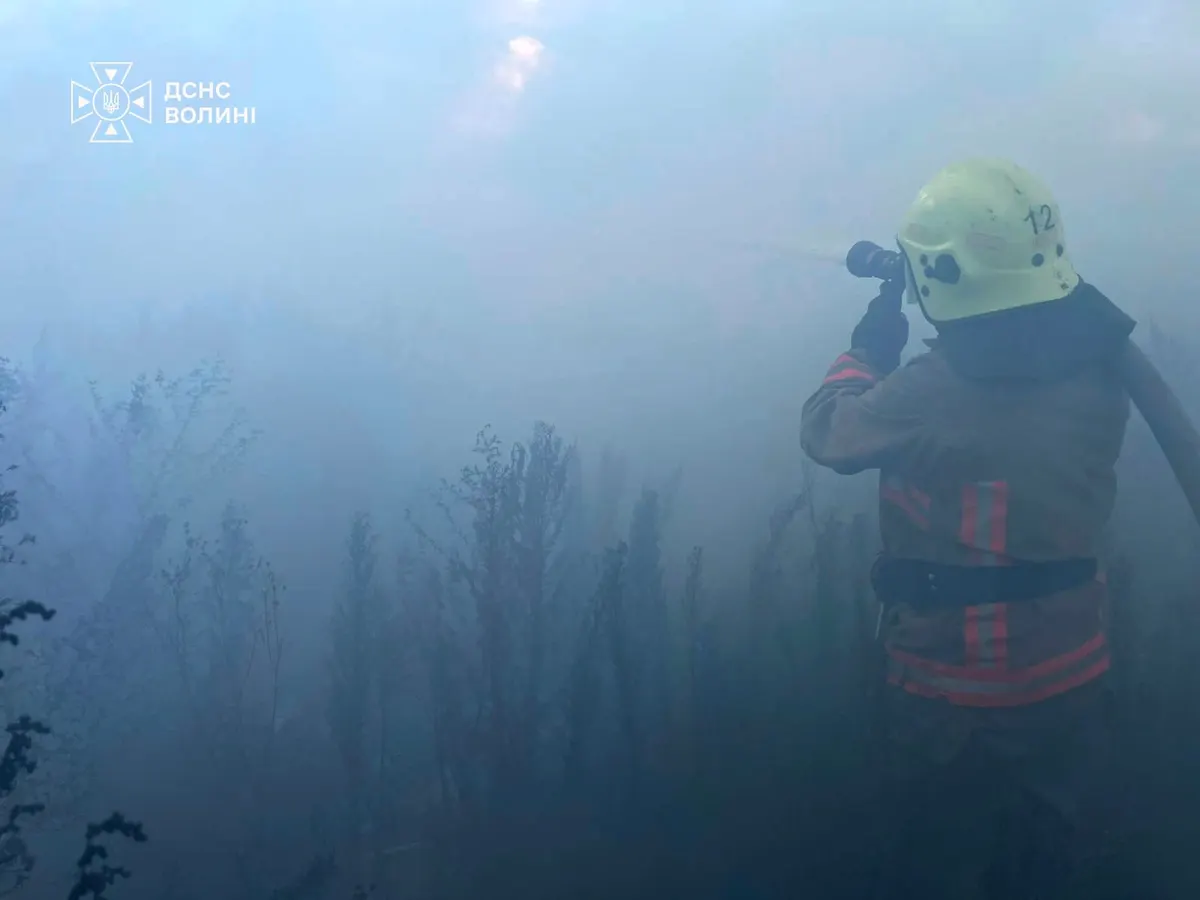 На Волині за добу сталося три пожежі в одному районі: згоріло понад 2 га