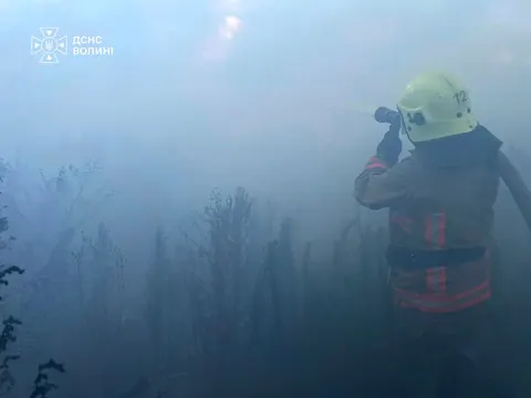На Волині за добу сталося три пожежі в одному районі: згоріло понад 2 га