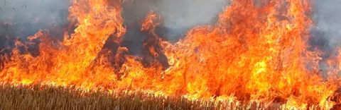 40 пожеж за добу на Миколаївщині: одна стала смертельною
