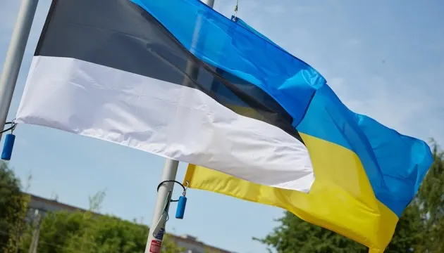 Естонія дала Україні 340 000 євро на підготовку до зими