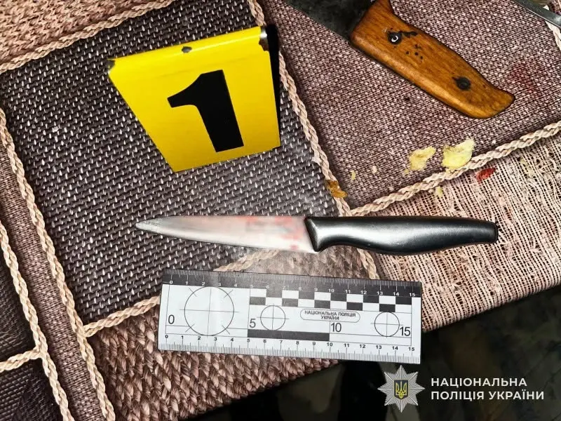 На Львівщині батько вдарив сина ножем у груди під час сварки