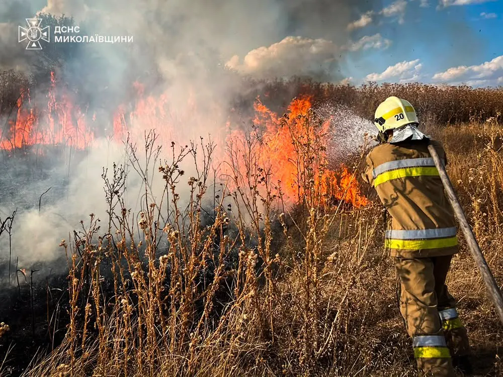 44 пожежі за добу на Миколаївщині: вигоріло понад 37 гектарів