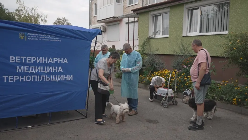 У Тернополі через лисицю біля будинку безкоштовно щепили майже пів сотні тварин