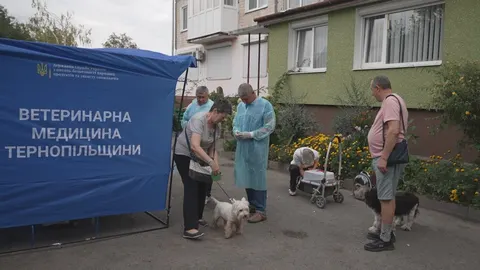 У Тернополі через лисицю біля будинку безкоштовно щепили майже пів сотні тварин