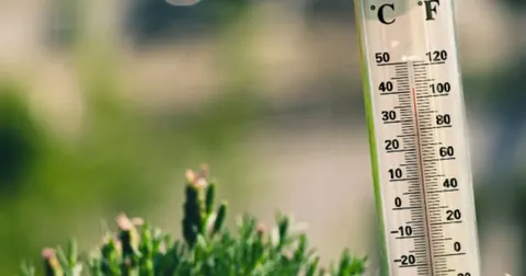Вінниця побила температурний рекорд: +37,6°С