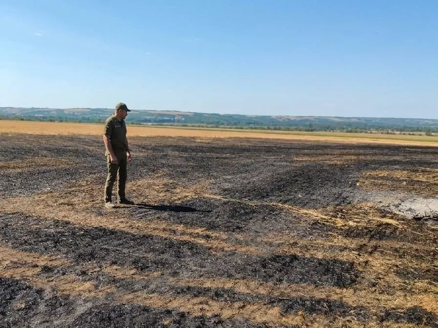 Спалили стерню на Миколаївщині: двох порушників оштрафували