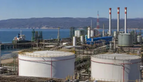 Єдиний НПЗ Грузії відмовляється від російської нафти на користь Казахстану та Лі