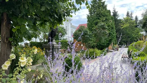 Спека на Житомирщині: у неділю стовпчики термометрів піднімуться до +33°