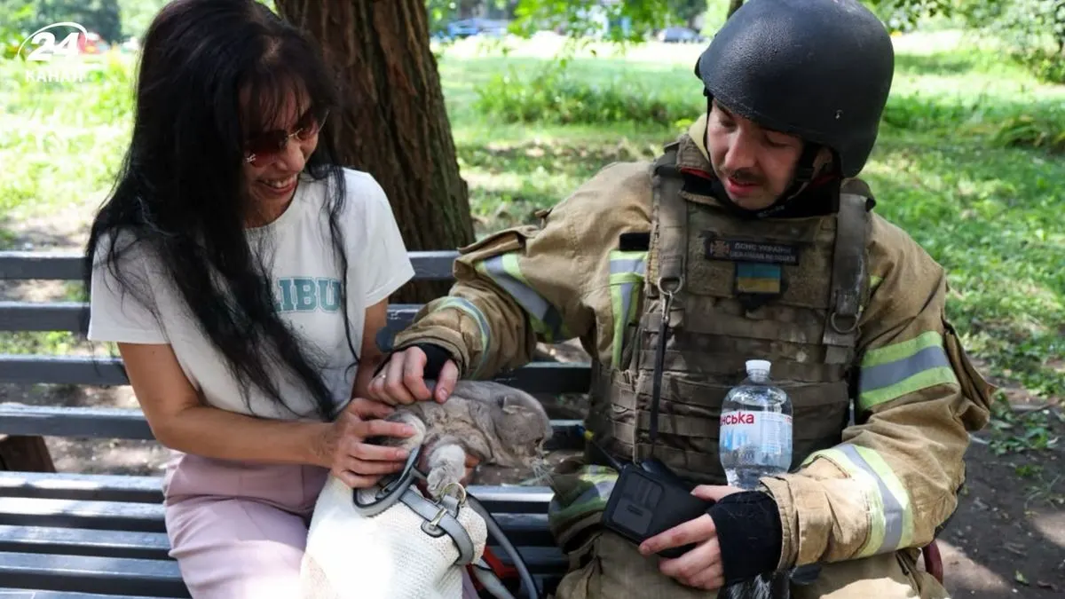 Під завалами у Харкові врятували кота Барні: господиня вже їде за ним