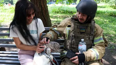 Під завалами у Харкові врятували кота Барні: господиня вже їде за ним