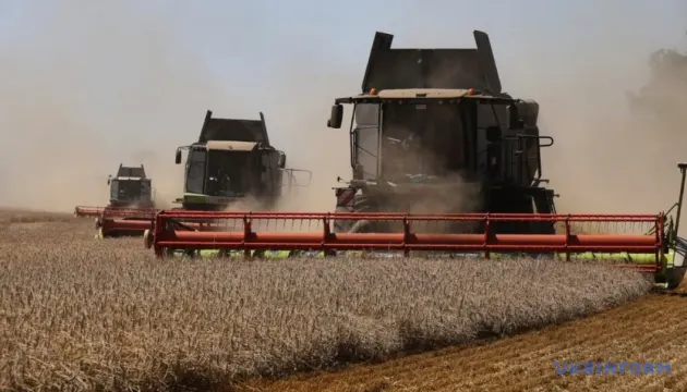 Понад 32 мільйони тонн зерна: Україна завершує збирання ранніх культур