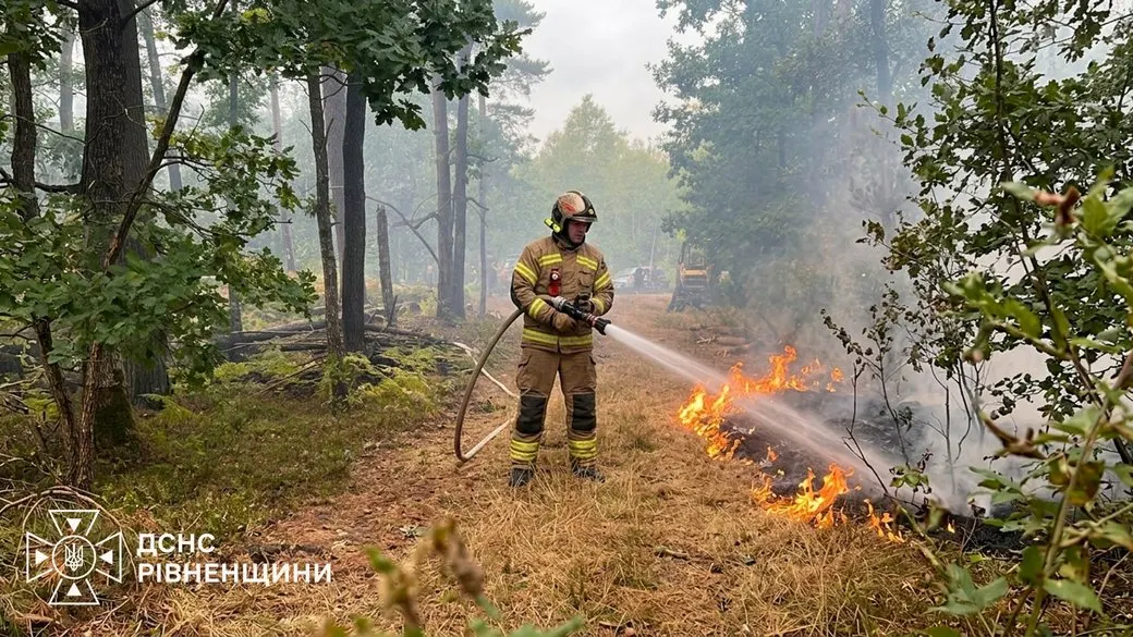 На Рівненщині гасять лісову пожежу: вогонь охопив два гектари