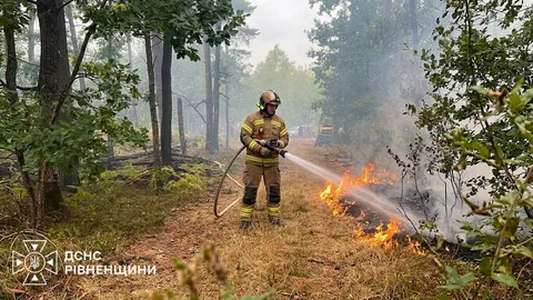 На Рівненщині гасять лісову пожежу: вогонь охопив два гектари