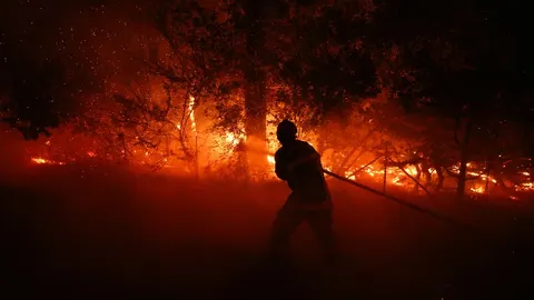 У Франції за підпали лісів затримали 420 людей, серед них 166 неповнолітніх