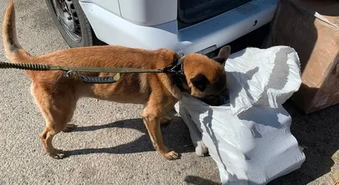 На в'їзді до Харкова затримали мікроавтобус із 1,5 тисячами вибухових пристроїв