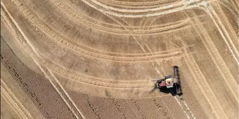 Чому світові ціни на їжу злетіли до максимуму і як це вдарить по Україні