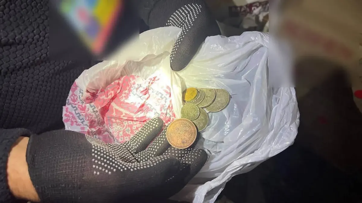 Старовинні монети знайшли у жінки на кордоні у Смільниці