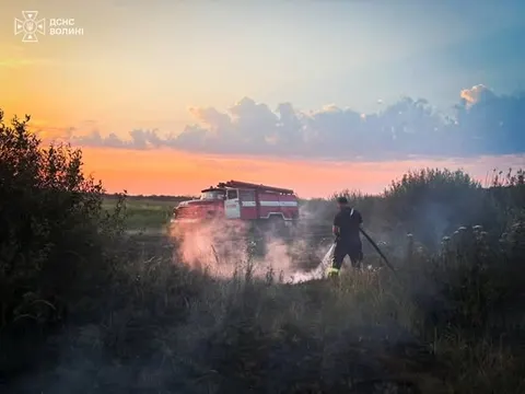 На Волині майже добу гасили торф'яну пожежу