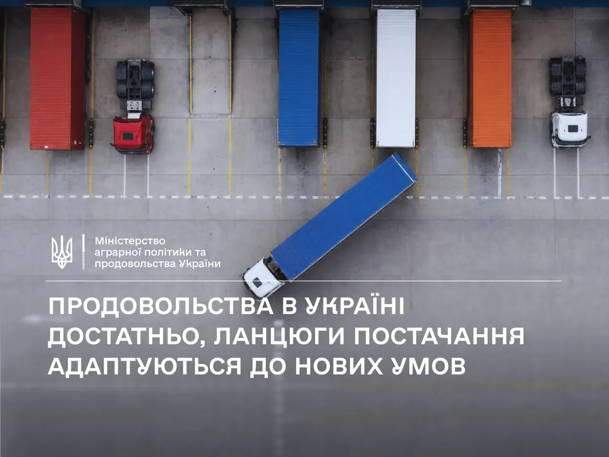 Продукти можуть подорожчати до 2,5%: у Мінагро пояснили, як працюватиме нова логістика