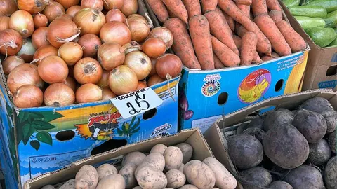 Морква за місяць подешевшала вдвічі: що змінилося на ринках Житомирщини