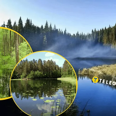 Озеро без дна на Кіровоградщині: що ховає загадкова водойма