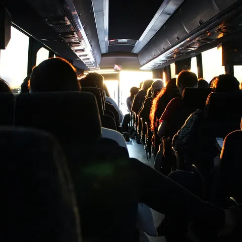 В Угорщині автобус із польськими паломниками зіткнувся з вантажівкою через вівцю