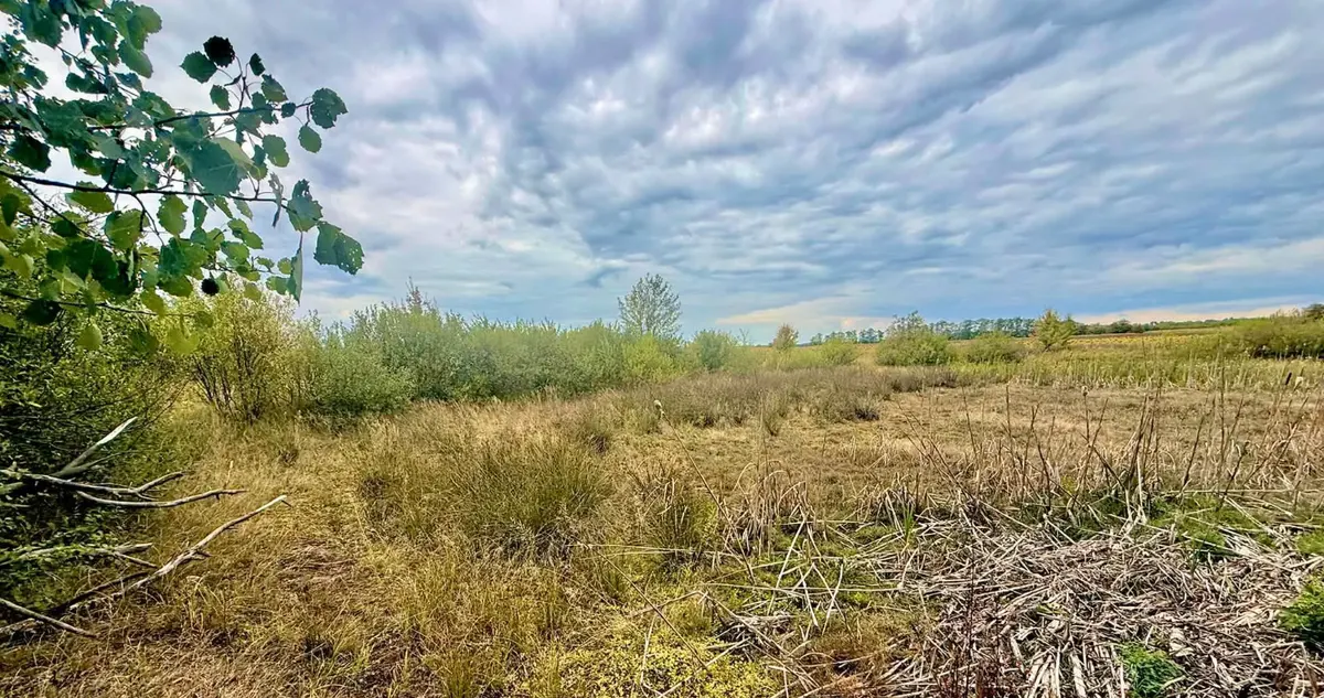 На Тернопільщині зникли три озера, де колись ловили рибу