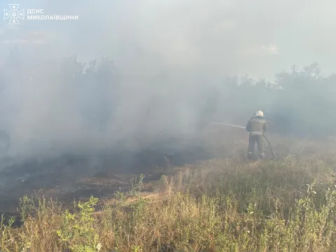Вогонь на Миколаївщині: за добу 36 пожеж, вигоріло понад 18 гектарів