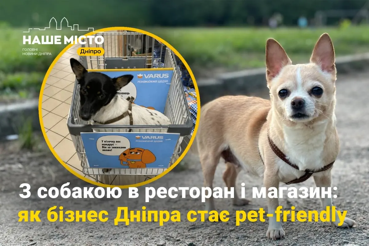 Дніпро стає pet-friendly: куди піти з собакою та що змінилося у місті