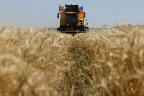 Російський зерновий експорт впав до мінімуму з 2010 року: що відбувається