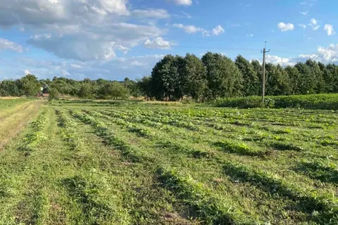 На Львівщині взялися за борщівник Сосновського: що зробили у громадах