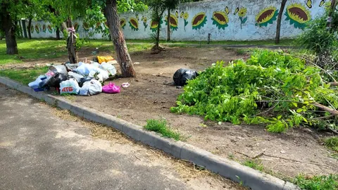 У Миколаєві ліквідували стихійне звалище біля школи-інтернату