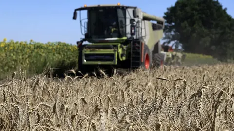 Світові ціни на продукти підскочили до максимуму з 2022 року